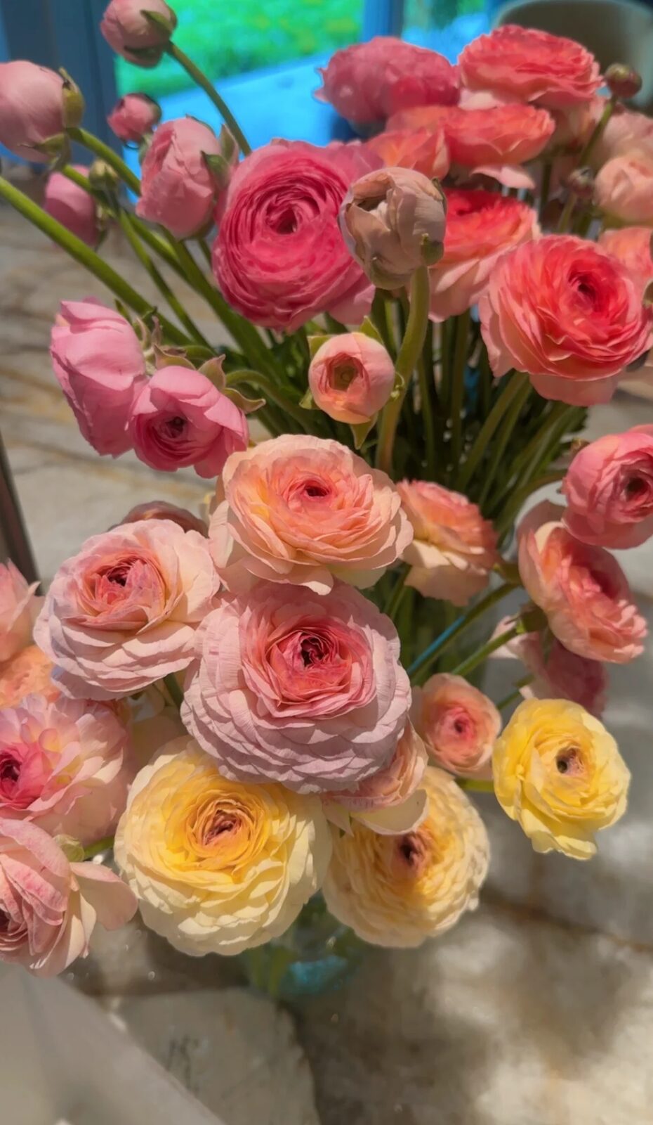 Beautiful flower arrangement